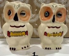 VTG Shawnee Pottery Winking Owl Salt and Pepper Shakers Blue Eyes With Stoppers picture