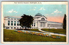 c1920s New National Museum Washington DC Antique Postcard picture