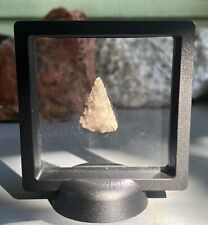 Authentic Indian arrowhead Alachua County Florida Includes Display Case picture