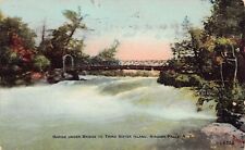 Three Sisters Island pedestrian bridge rapids Niagara Falls NY Vtg Postcard A2 picture