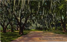 Pakenham Oaks New Orleans Louisiana LA Postcard Posted 1948 picture