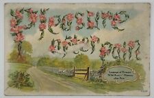 Antique 1909 Language of Flowers Post Card -Wild Rose-Pleasure after Pain picture