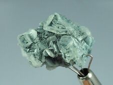 Rare Natural Alkali Vorobyevite Beryl Crystals Bunch on Matrix @Badakhshan, 2 G picture