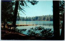 Postcard - Sequoia Lake at Kings Canyon National Park in California picture