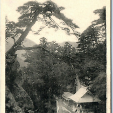 c1910s Yamagata Japan Yamadera H.I.H Crown Prince Litho Photo PC Bonsai Tree A53 picture