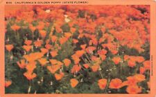 California's State Flower-Golden Poppy Vintage PC Unused picture