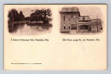 Mansfield OH-Ohio, Scene In Heineman Park, Scenic Outside, Vintage Postcard picture