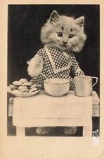 Cat in a Dress Baking Postcard picture