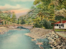 Vintage Linen Postcard Suspension Bridge River Building Phoenicia New York NY picture