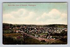 Centralia WA-Washington, Bird's-Eye View of Town, Church, Vintage c1910 Postcard picture
