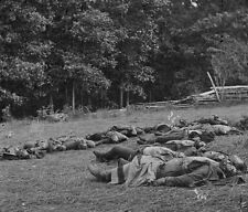 Confederate Dead Soldiers Gettysburg Rose Woods 1863 New 8x10 US Civil War Photo picture
