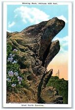 c1940's Blowing Rock And Flowers Scene Watauga County North Carolina NC Postcard picture