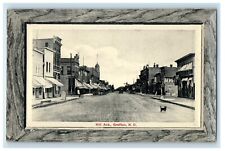 c1910's Hill Avenue Street View Stores Dog Grafton South Dakota SD Postcard picture