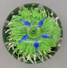 Large Glass Underwater Flower Paperweight With Fish picture