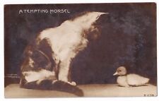 Post Card RPPC A Tempting Morsel picture