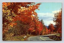 Greetings Cadillac Michigan Street View Forest Fall Autumn Vintage Postcard picture