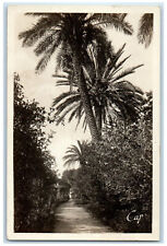 c1930's Bizot Garden Alley Of Roses Algeria Unposted RPPC Photo Postcard picture