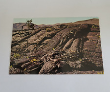 Vintage 1974 Craters of the Moon National Monument Idaho Pahoehoe Lava Flows picture