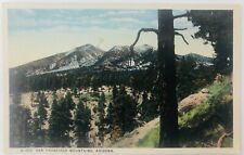 Vintage San Francisco Mountains Arizona AZ Mountains Pine Trees Snow Postcard picture
