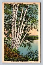 Copper Harbor MI-Michigan, Scenic Birches Lake Manganese, Vintage c1938 Postcard picture