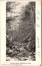 Postcard CT Washington Mallory Brook 1907 picture