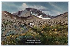 c1940s The Colorado Museum The Alpine Group Longs Peak Colorado CO Postcard picture
