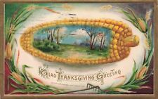 Winsch Thanksgiving Large Embossed Corn with Scene Inside & Gold Border Postcard picture