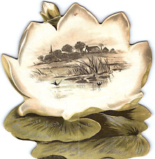 1880's Die-Cut Waterlily Pond Scene Hood's Sasparilla Victorian Trade Card P120 picture