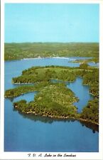 Tva Lake Smokies Douglas Smoky Mountain Unposted Vintage 3D Natural Unp Postcard picture