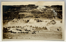 1928 RPPC Shoshone Falls, Idaho ID Vintage Real Photo Postcard picture