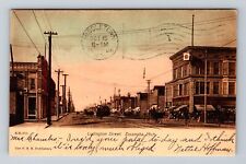 Escanaba MI-Michigan, Ludington Street Storefronts Vintage c1906 Postcard picture