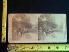 b051, U & U Stereoview - Goat Carriages, Central Park, New York City, NY, c.1891 picture