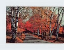 Postcard Fall Foliage USA North America picture
