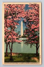 Washington D.C. Washington Monument, Cherry Blossoms, Vintage Souvenir Postcard picture