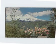 Postcard Rhododendron Time Mt. Hood Oregon USA picture
