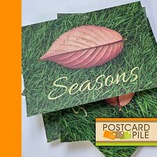 Seasons, Autumn Leaf On Spring Grass Set Of 5 Postcards unused Postcard Lot New picture