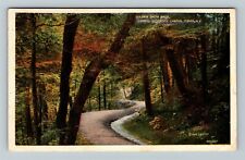 Ithaca NY-New York, Goldwin Smith Walk Cornell University c1931 Vintage Postcard picture
