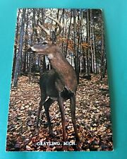 Grayling Michigan Elk Used Post Card picture