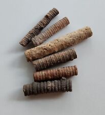 Natural Fossil Crinoid Segments Lot Of 6 - 55g picture