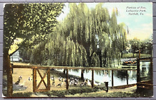 Vintage Postcard 1908 Lafayette Park Zoo, Norfolk VA picture
