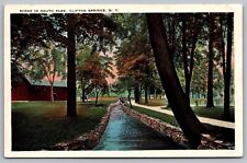 Scene South Park Clifton Springs New York Ny Tichnor View Postcard picture