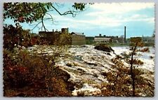 Falls Androscoggin River Lewiston Auburn Maine Rapids Forest Vintage Postcard picture