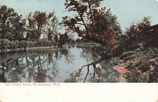 Mt Clemens Michigan~Trees Hang Over Clinton River~1908 UDB Postcard picture