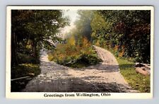 Wellington OH-Ohio, Scenic Greetings, Roadway, Antique, Vintage Postcard picture