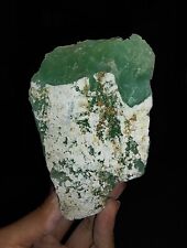 AMAZING AMMONITE ROUGH CHRYSOPRASE NATURAL FROM SULAWESI, INDONESIA, 105MM picture