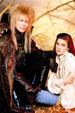 Labyrinth David Bowie Jennifer Connelly  8x10 Glossy Photo picture