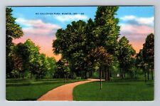 Muncie IN-Indiana McCollough Park Park Benches Field with Trees Vintage Postcard picture