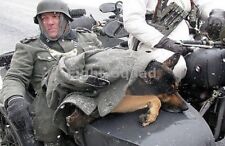 WW2 Picture Photo Waffen Military Police Officer and Dog BMW w sidecar 2967 picture