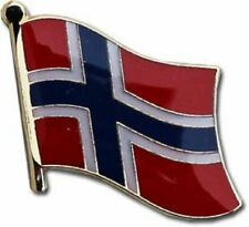 Norway Country Flag Bike Motorcycle Hat Cap lapel Pin picture