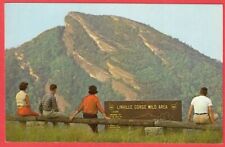 Hawks Bill Overlook Linville Gorge North Carolina 1964 Postcard picture